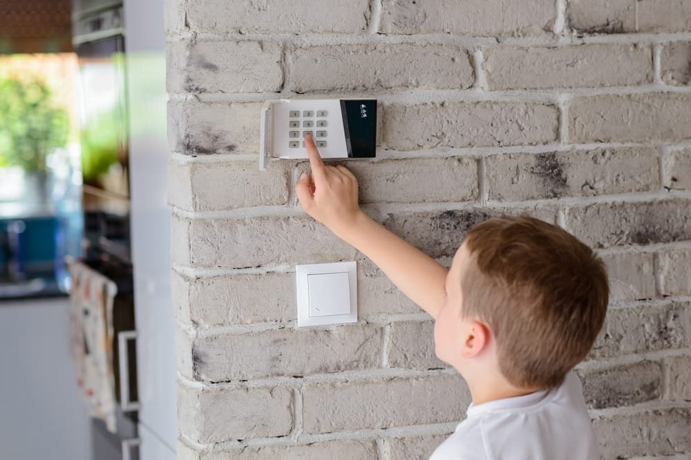 Top Security Alarm Systems Homes Los Angeles